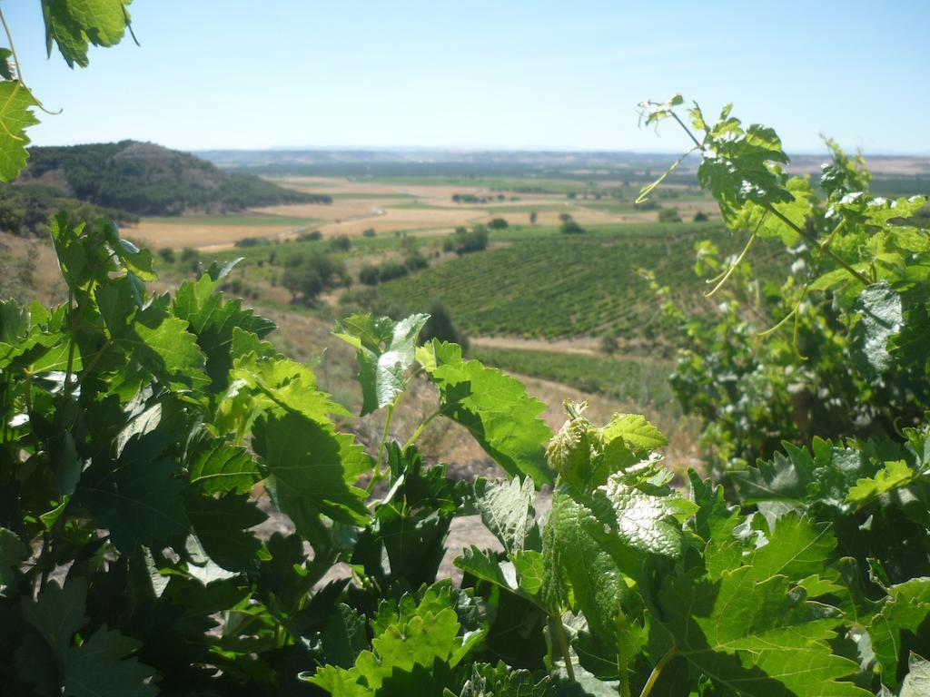 La Cantamora Hotel Rural Pesquera De Duero Bagian luar foto